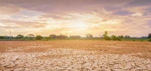 Indoneisa masuk El Nino