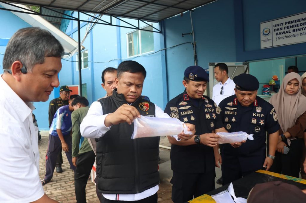 Bareskrim Polri ungkap dugaan penyelundupan 73 ribu benih bening lobster di Batam
