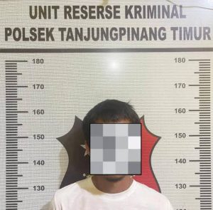Penangkapan FA yang masuk daftar pencarian orang dalam kasus pencurian oleh polisi.